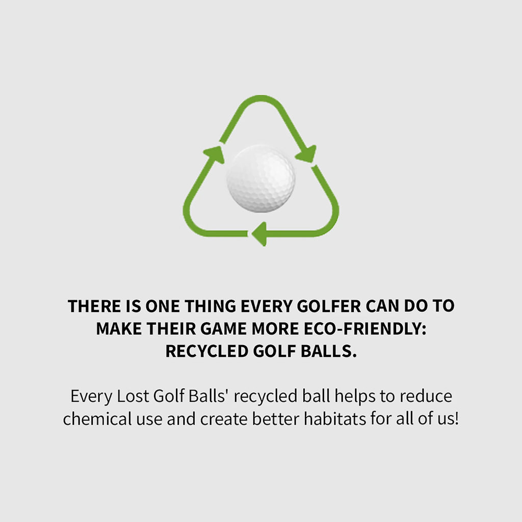 2012 Pro V1X Golf Balls, Prior Generation, Mint Quality, 12 Pack, by Hunter Golf