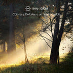 ULED Premium 65U7G QLED Series 65-Inch Android 4K Smart TV with Alexa Compatibility, 1000-Nit HDR10+, Dolby Vision & Atmos, 120Hz, HDMI 2.1, Game Mode Pro